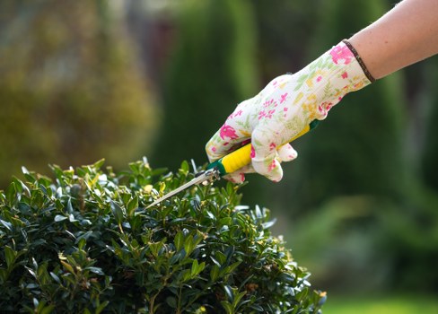 Modern Slavery Statement introduction for Gardeners Crayford