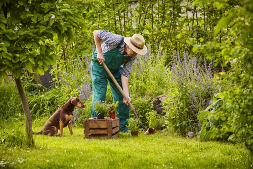 A safe and professional gardening service in a maintained garden setting