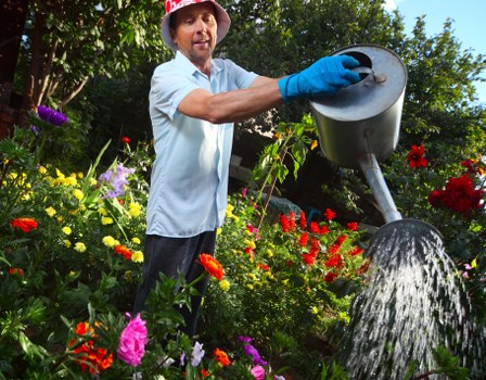 Neat Crayford garden with healthy plants and trimmed shrubs