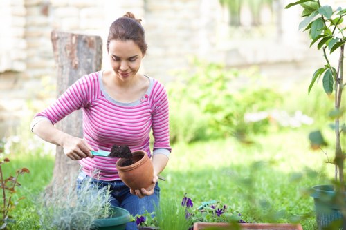 Local garden maintenance team in Crayford caring for a property