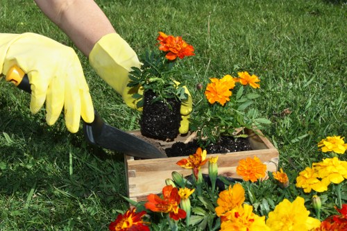 Record of a service issue in a gardening complaints process