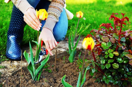 Supplier audit process in a landscaping business