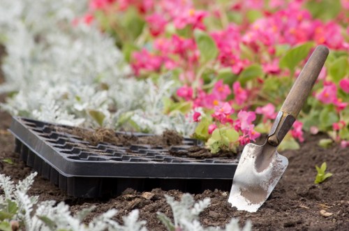 Crayford garden landscaping with seasonal flowers and structured borders