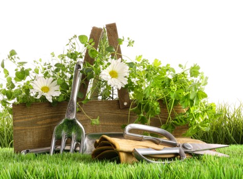 Waste regulations in gardening service terms