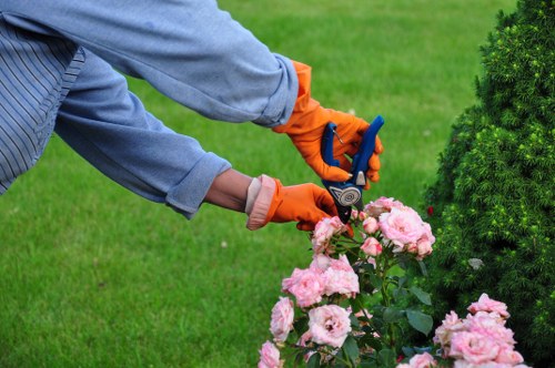 Cubic-yard estimate for a larger overgrown garden clearance