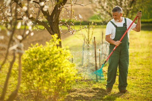 Crayford garden specialists working on a well-kept outdoor space