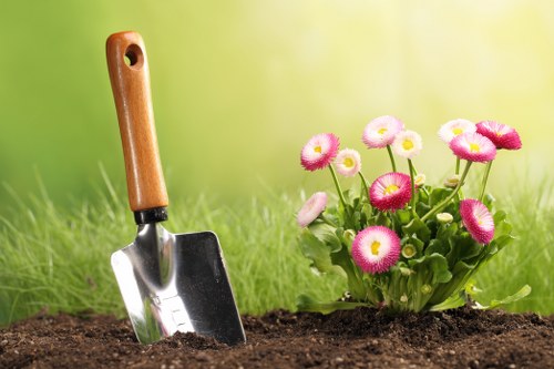 Experienced gardener shaping hedges in Crayford
