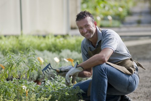 Seasonal garden maintenance in Crayford with flowering plants